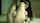 webcam camgirl dildo