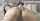 brunette camgirl anal