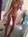 selfshot amateur slim