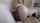 camgirl amateur doggystyle