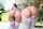 booty bangbros hot