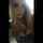 cam camgirl teen