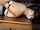 asian bondage tied
