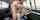 bangbros rough sex