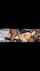 pornhub bbc threesome