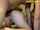 camgirl threesome camera