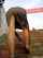 amateur upskirt public