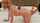 big tits blonde teen