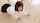 teen asian shorthair