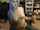 camgirl blueh h hot
