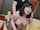japan japanese bigtits