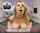 big tits boobs titjob