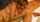 couple cuckold hotwife