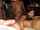 gangbang stockings teen