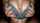 titjob hard cum