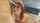 compilation deepthroat brown hair