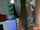 amateur blowjob party