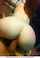 redhead cowgirl riding dick