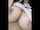 camgirl hot big tits