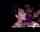 dark latina dancingbearm