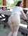 amateur niceass sex