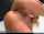 blonde busty anal