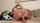naughty america mom black