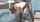 redhead interracial bbc