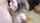 cam anal camgirl
