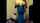 amateur xvideo spanish