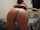 twerk fishnet redhead