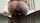 bbc interracial black