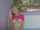 camgirl webcam cute