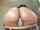 big ass pussy panties