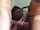 brunette bisexual males amateur