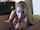 blonde interracial blowjob