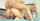 fucked anal pounded