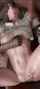 3d animation interracial threesome