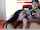 camgirl blowjob brunette