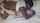 black wife cuckold