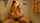 homemade cam amateur