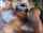 blond interracial bbc