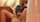 spy masturbation spy masturbation