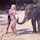 ass tit blonde