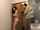 tease asian whoopers