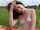 amateur hot nude