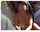 mature milf brunete