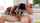 ebony hardcore bangbros
