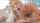 massage masseuse blonde