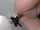 gloryhole condom play blacked